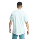 Camisa Cruzeiro 25/26 Treino Torcedor Adidas Masculina - Verde Água