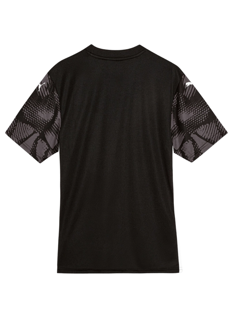 Camisa Bahia Goleiro 2025/26 Torcedor Puma Masculina - Cinza